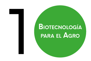 Cultivo de Tejidos