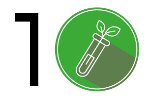 Cultivo de Tejidos