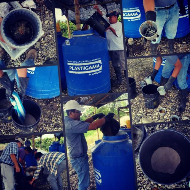 Personal del CIBE elabora junto al técnico de la Hacienda San Rafael, una solución madre para proceder a preparar bioles.